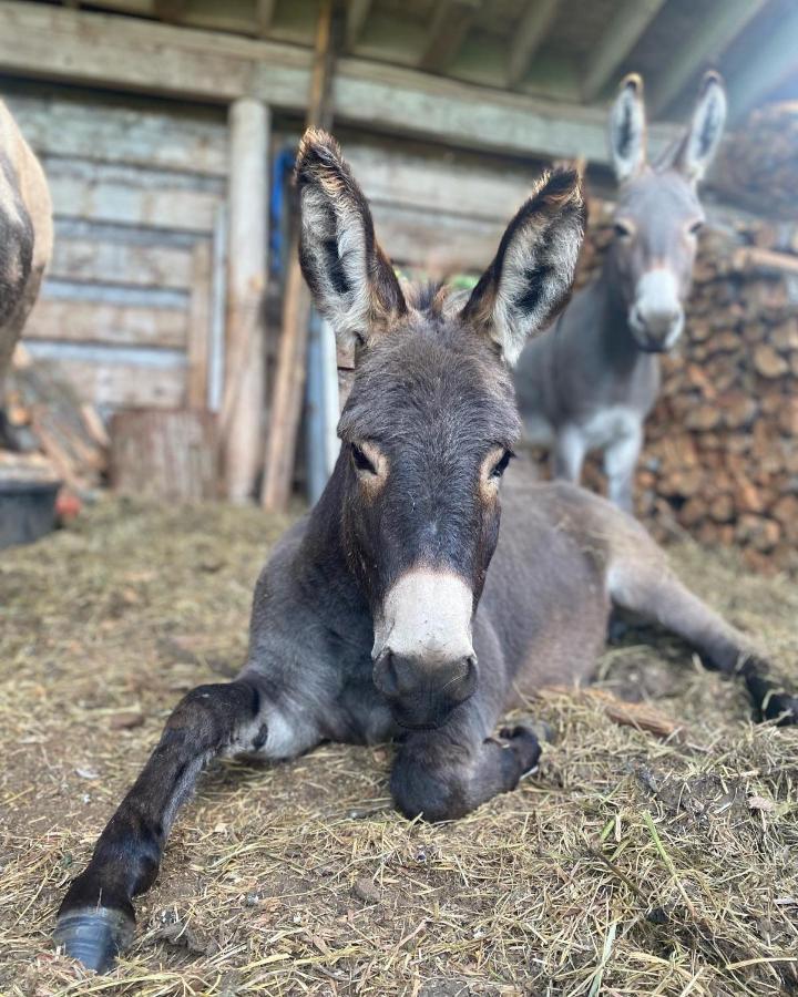 Villa Sweetwater Lane Farm Mount Currie Esterno foto