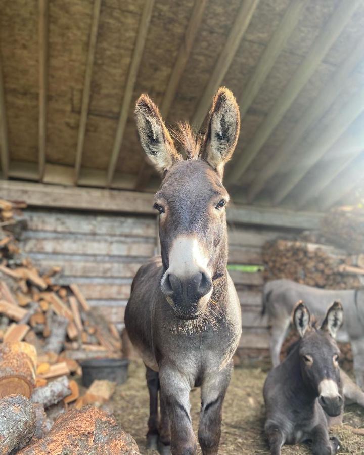 Villa Sweetwater Lane Farm Mount Currie Esterno foto