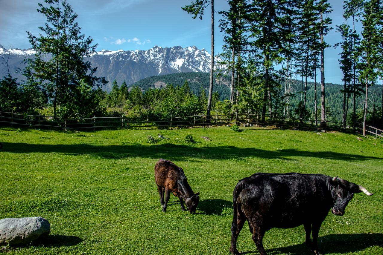 Villa Sweetwater Lane Farm Mount Currie Esterno foto