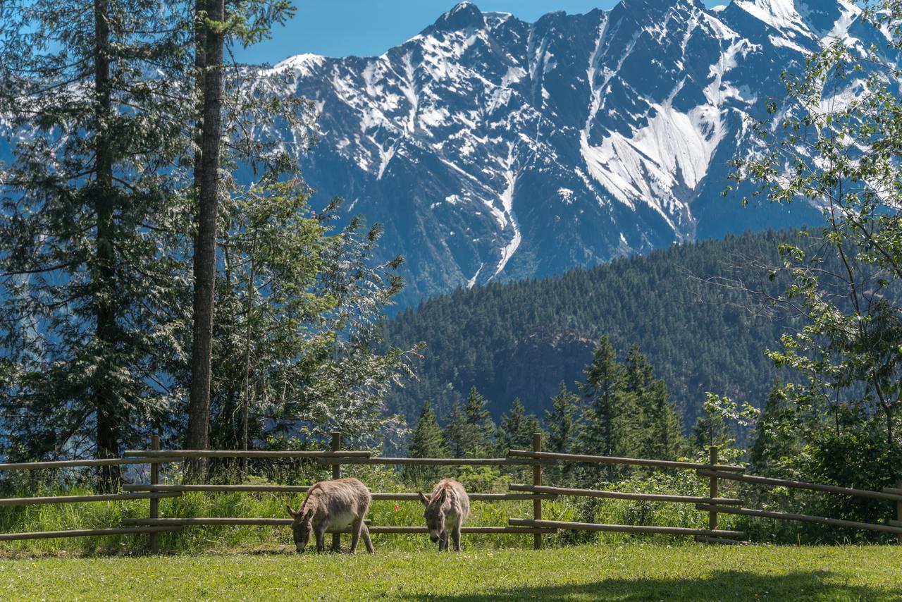 Villa Sweetwater Lane Farm Mount Currie Esterno foto