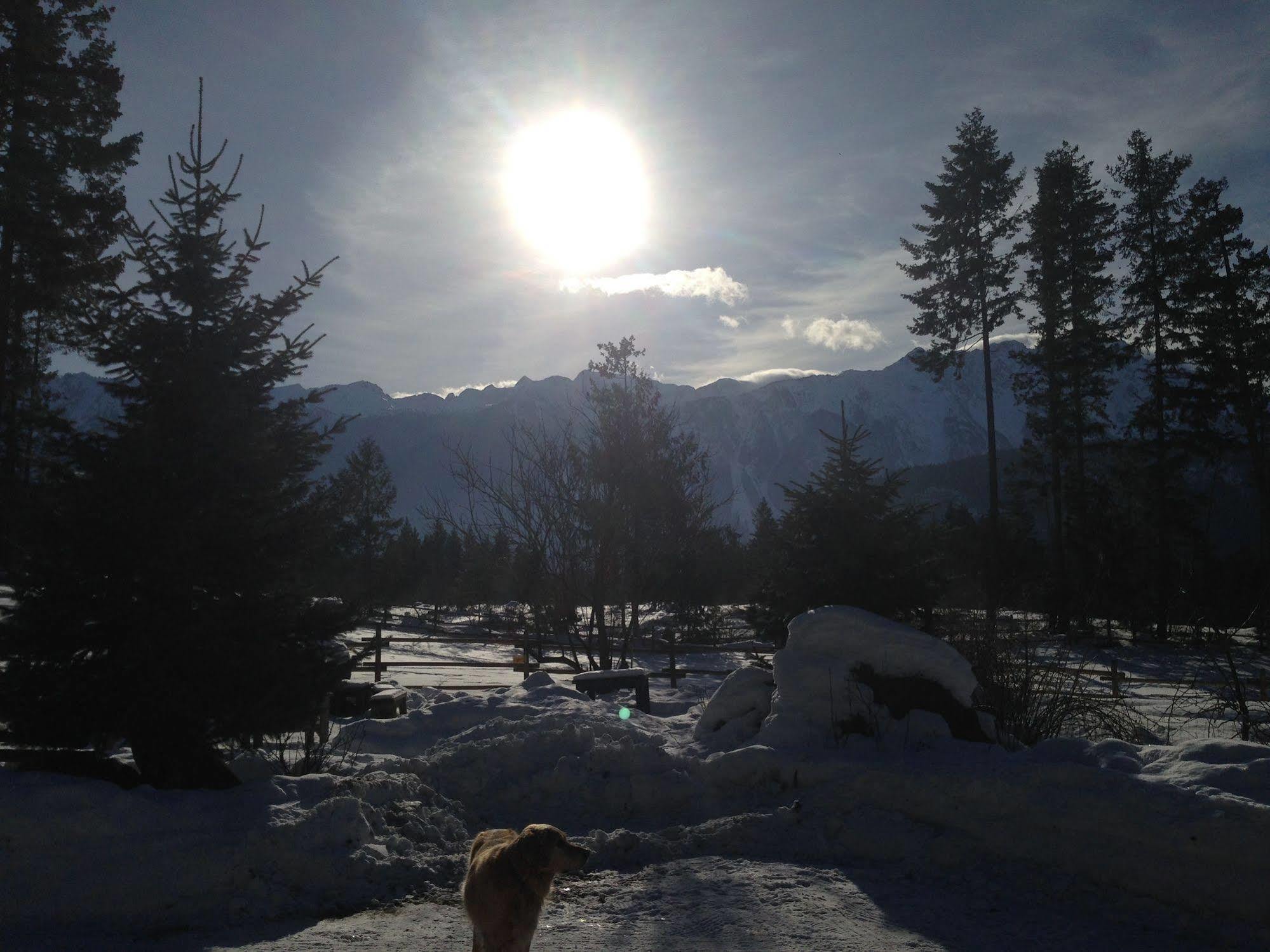 Villa Sweetwater Lane Farm Mount Currie Esterno foto