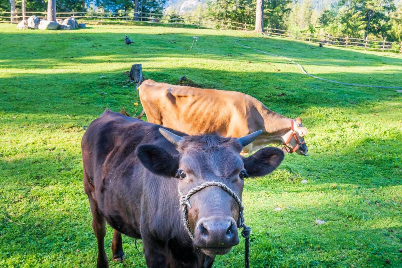 Villa Sweetwater Lane Farm Mount Currie Esterno foto